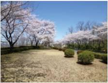 Other Environmental Photo. 380m to Tonegawa dry riverbed