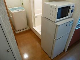 Other. Microwave and refrigerator and washing machine