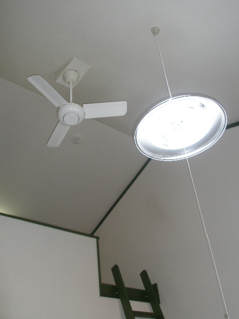 Other room space. lighting equipment ・ Ceiling fans