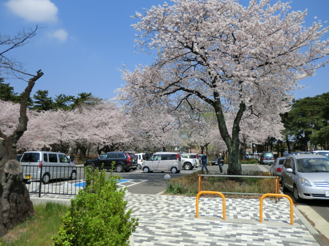 park. Shikishima Park (Rose Garden, Heart is washed I) 1698m until the (park)