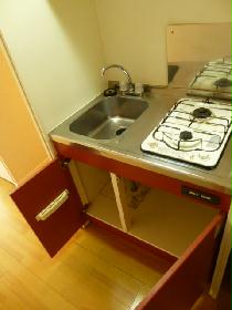 Kitchen. rare, It is a gas stove 2-neck