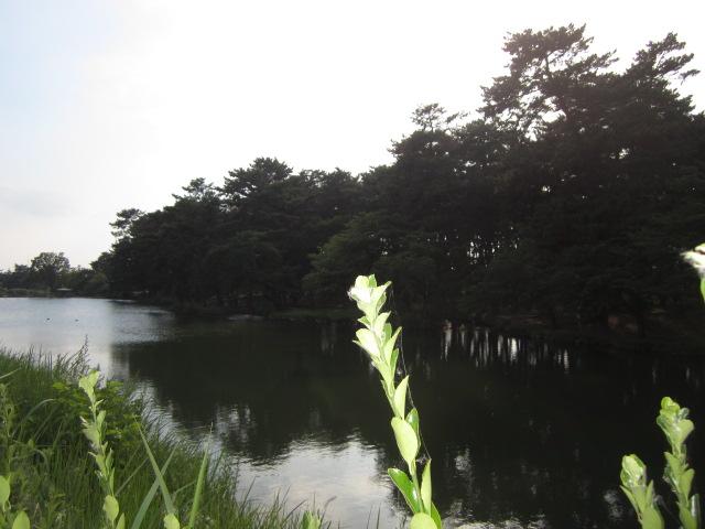 Other. Shikishima park