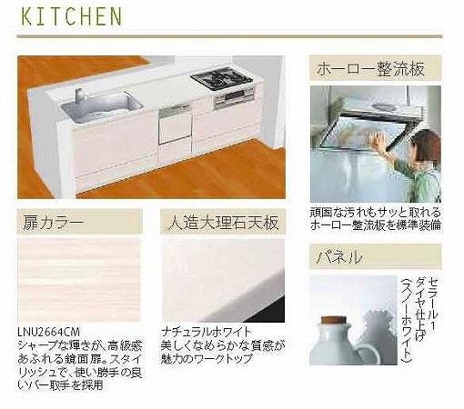 Same specifications photo (kitchen). Building 2 specification (built-in dishwasher dryer, With water purifier shower faucet construction)