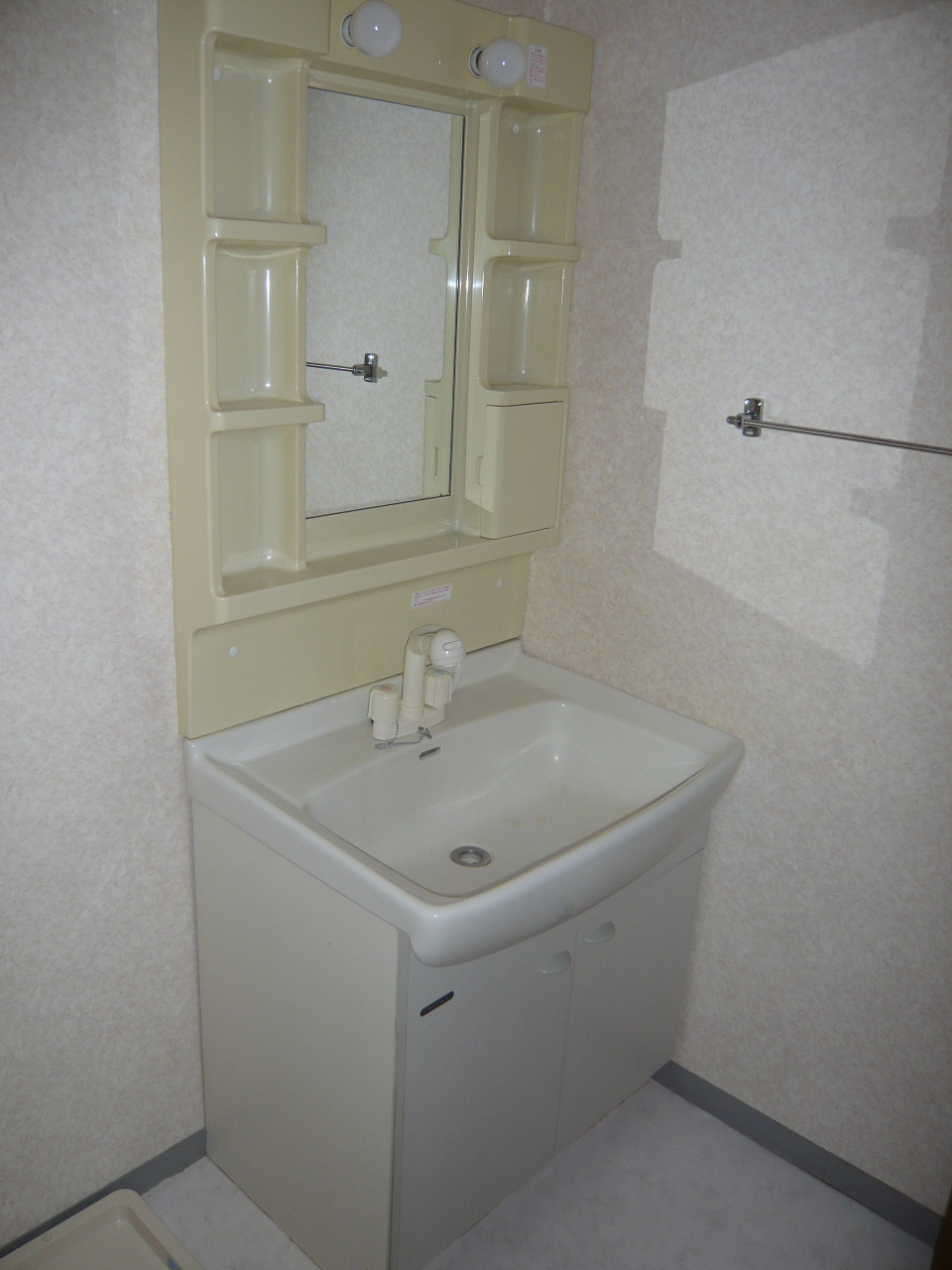 Washroom. Washbasin with shower