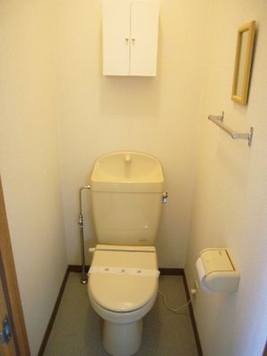 Toilet. Toilet