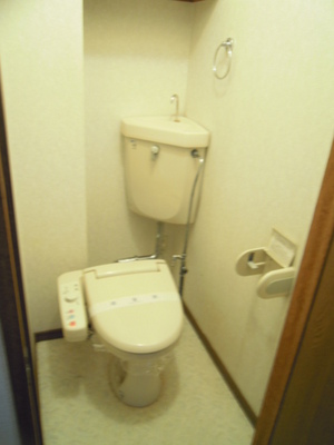 Toilet. Toilet