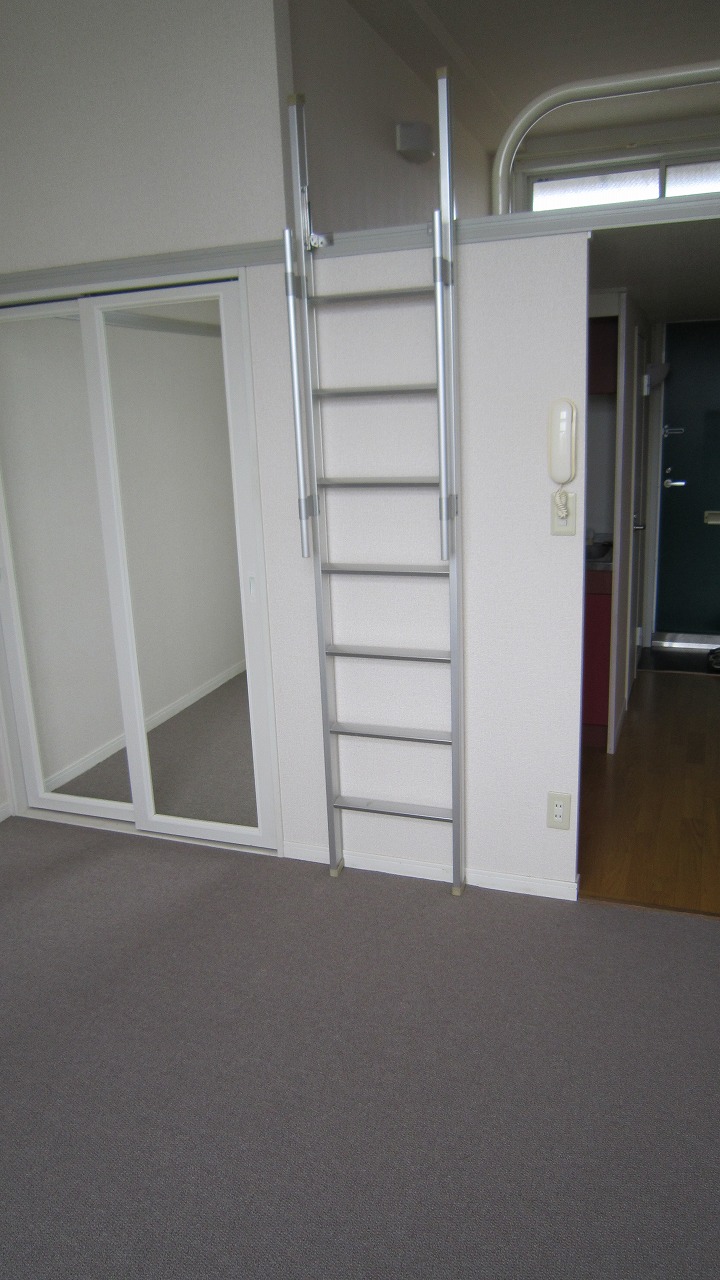 Living and room. Mirror with closet