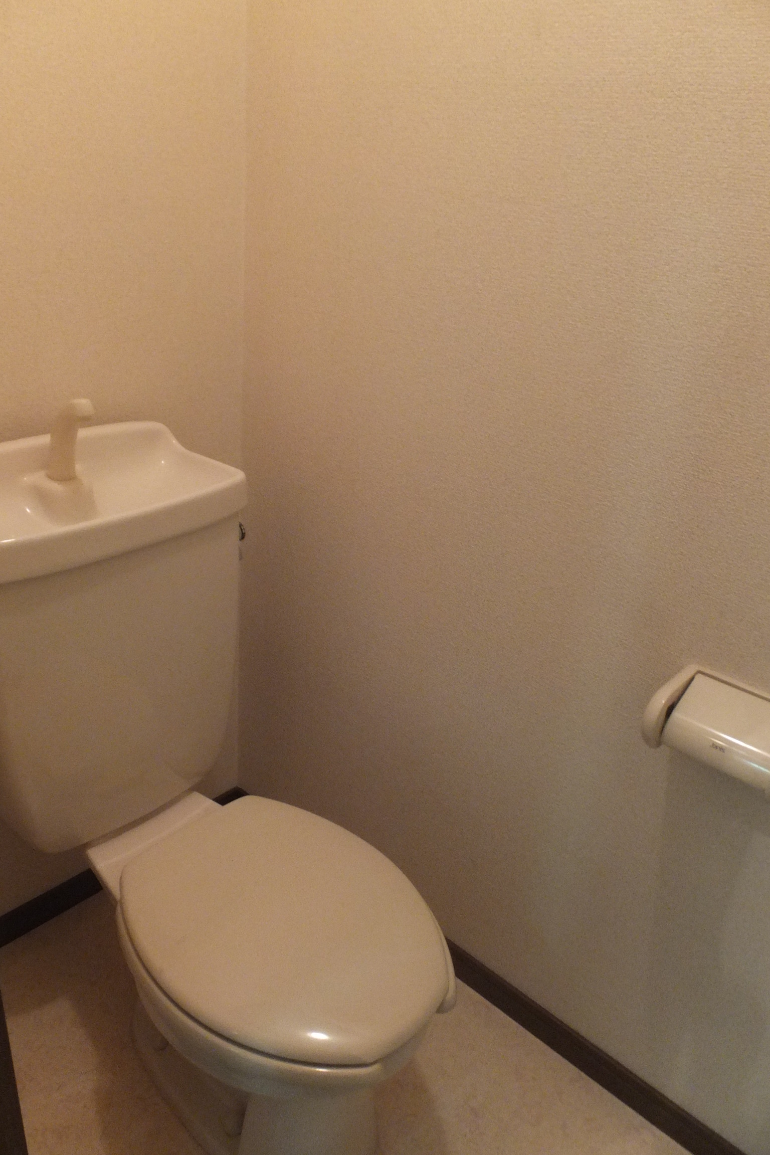 Toilet. You can bidet installed before you move! 