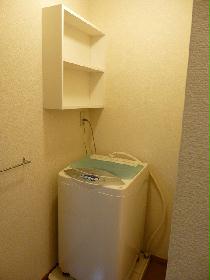 Other. It is washing machine! This is useful also attached shelf! 