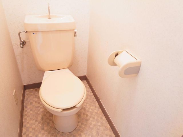 Toilet. This space is calm.