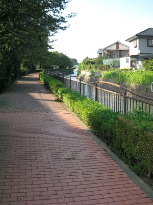 Other. A beautiful promenade that has been in place immediately on the back of the building! 