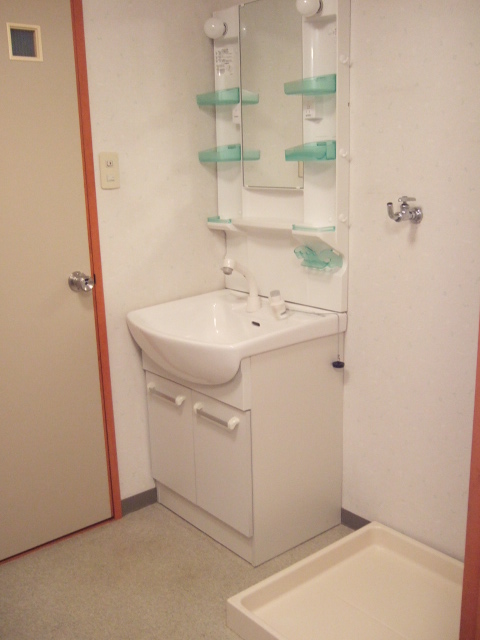 Washroom. Washbasin with convenient shower