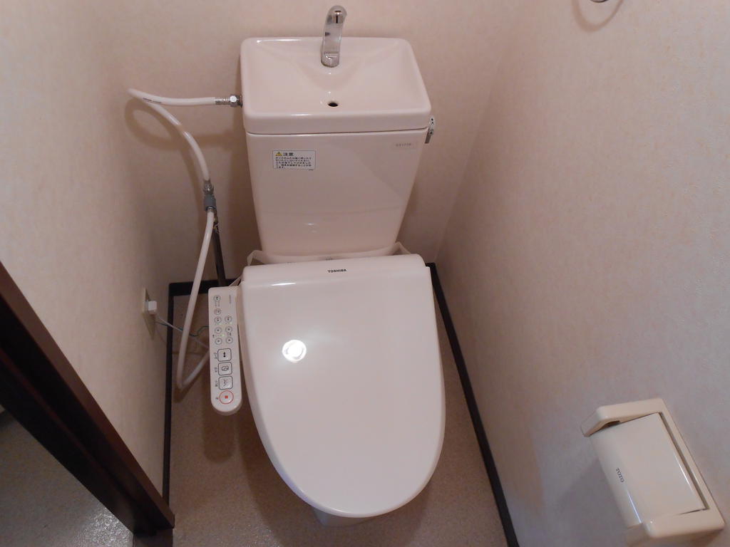 Toilet. With warm water washing toilet seat