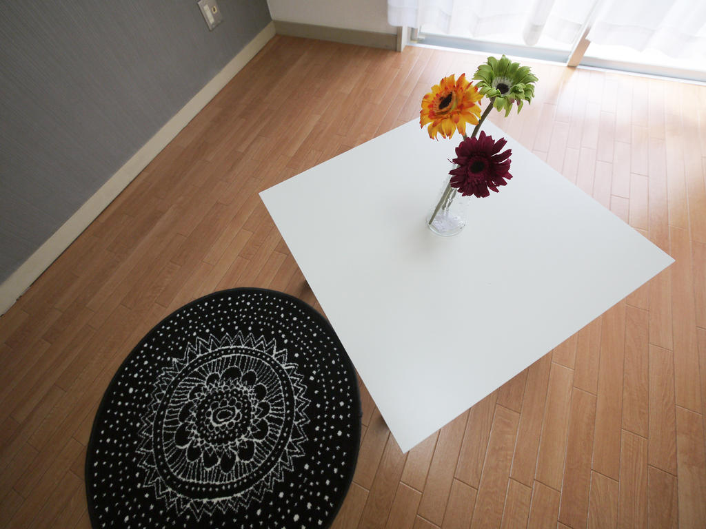 Other Equipment. Mini table and a nice rug ☆ 