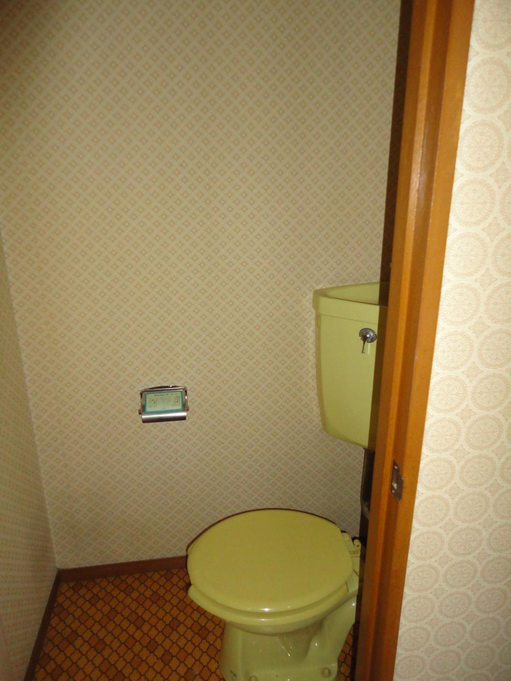 Toilet. Indoor (February 2011) shooting