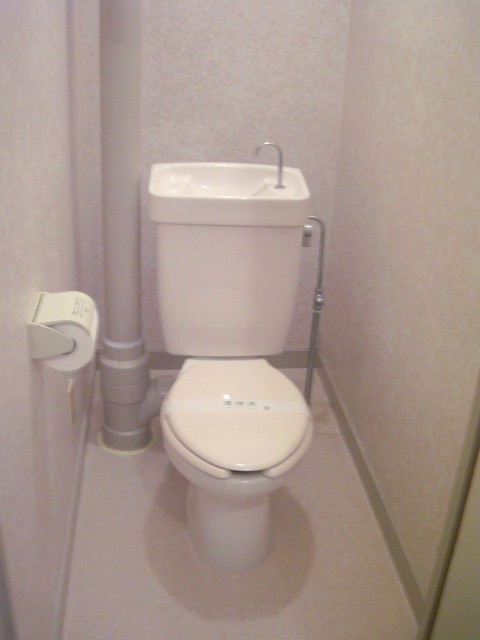 Toilet. It will be warm water washing toilet seat