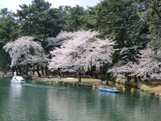 park. 948m until Shikishima park (Baraen) (Park)