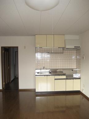 Kitchen. Also strong in oil stains in the tiled!