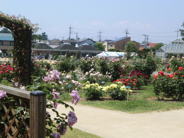 park. Shikishima 1822m to the park rose garden (park)