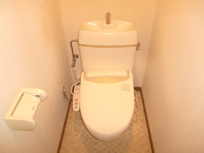 Toilet. With warm water washing toilet seat