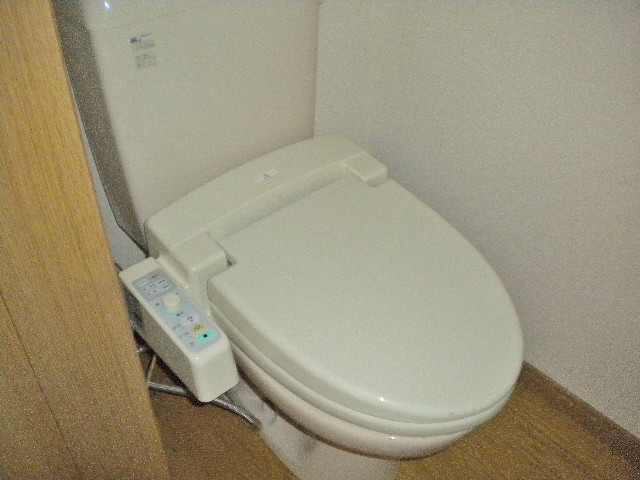 Toilet. With warm water washing toilet seat