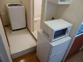 Other. Microwave and refrigerator and washing machine