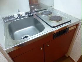 Kitchen. Electric stove 2-neck