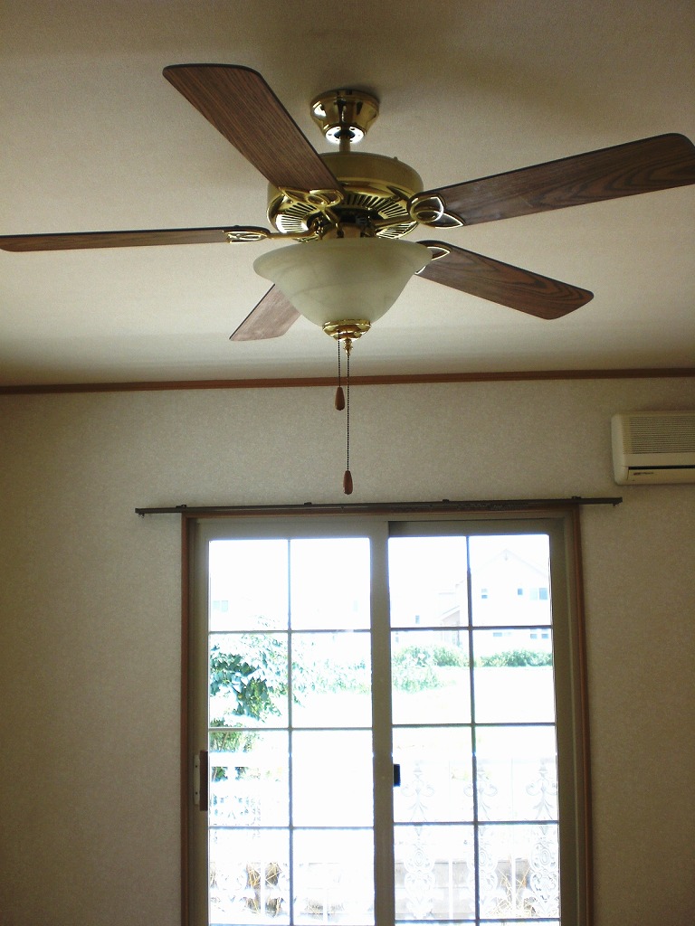 Living and room. Lighting with cycle fan