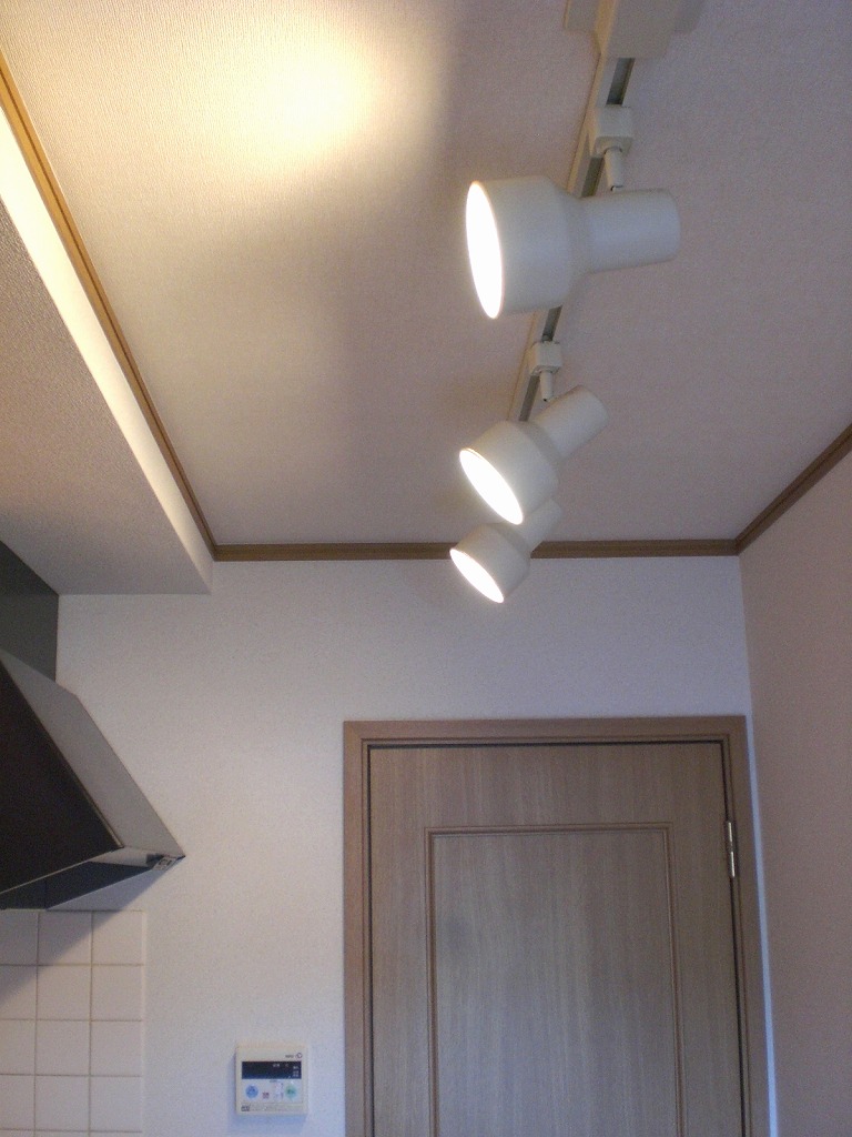 Kitchen. illumination