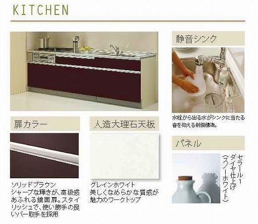 Same specifications photo (kitchen). Built-in dishwasher dryer, Shower faucet construction with water purifier