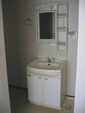 Washroom. Right - washing machine Storage / Left - Bath & toilet