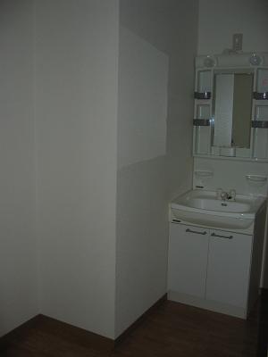 Washroom. Laundry Area is here