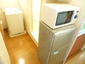 Other. Microwave and refrigerator and washing machine