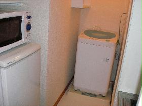 Other. Furnished Home Appliances