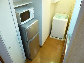 Other. Microwave and refrigerator and washing machine