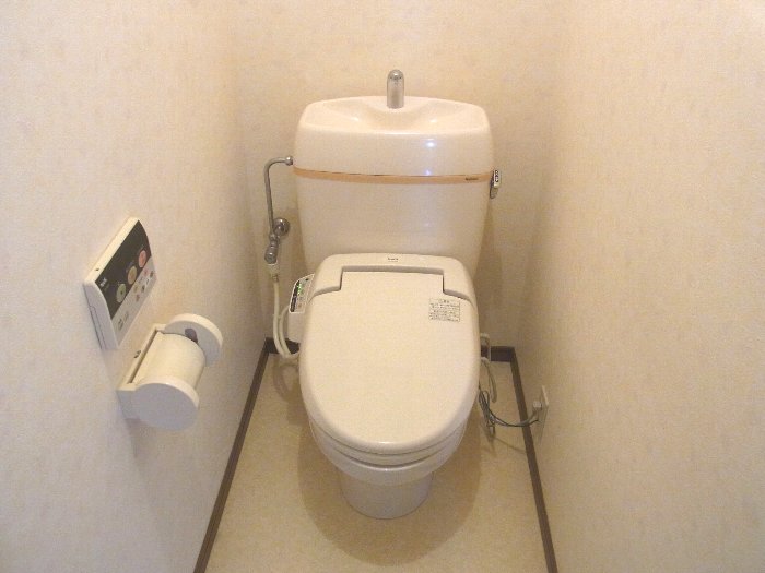 Toilet. It comes with warm water cleaning toilet seat