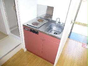 Kitchen. Electric stove (2 burners), so peace of mind