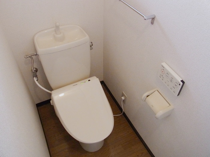 Toilet. With warm water washing toilet seat