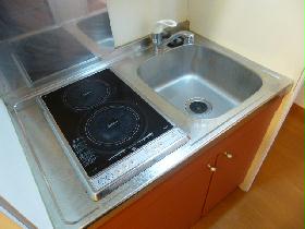 Kitchen. It is an electric stove 2-neck