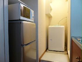 Other. Microwave and refrigerator and washing machine