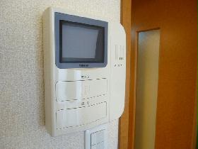 Other. It is a monitor with intercom