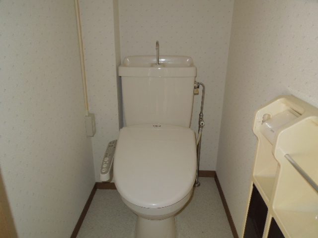 Other. With warm water washing toilet seat