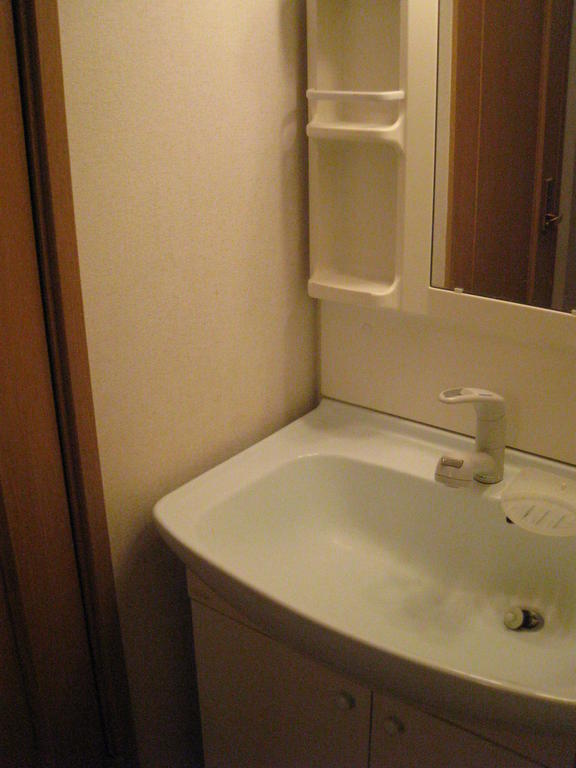 Washroom. It vanity is equipped with a shower