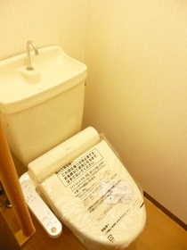 Toilet. Warm water washing toilet seat