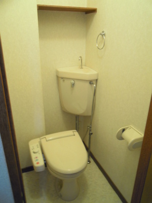 Toilet. Toilet