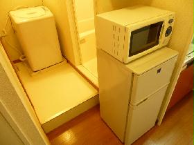 Other. Microwave & refrigerator and washing machine