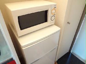 Kitchen. Refrigerator & amp; amp; microwave oven