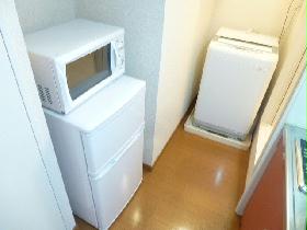 Other. Microwave and refrigerator and washing machine