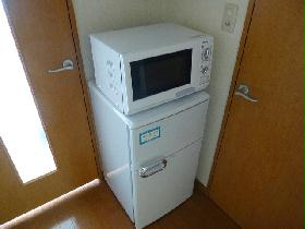 Other. It is a microwave and refrigerator