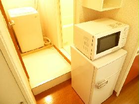 Other. Microwave & refrigerator and washing machine